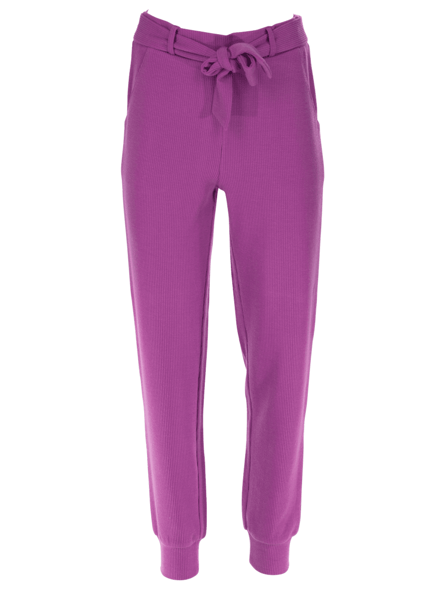 Pantalon côtelé – grande taille – purple1, 46/48 - Wibra