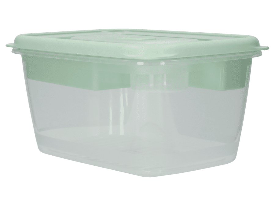 Boîte à lunch – salade 1,7 litre – vert - Wibra