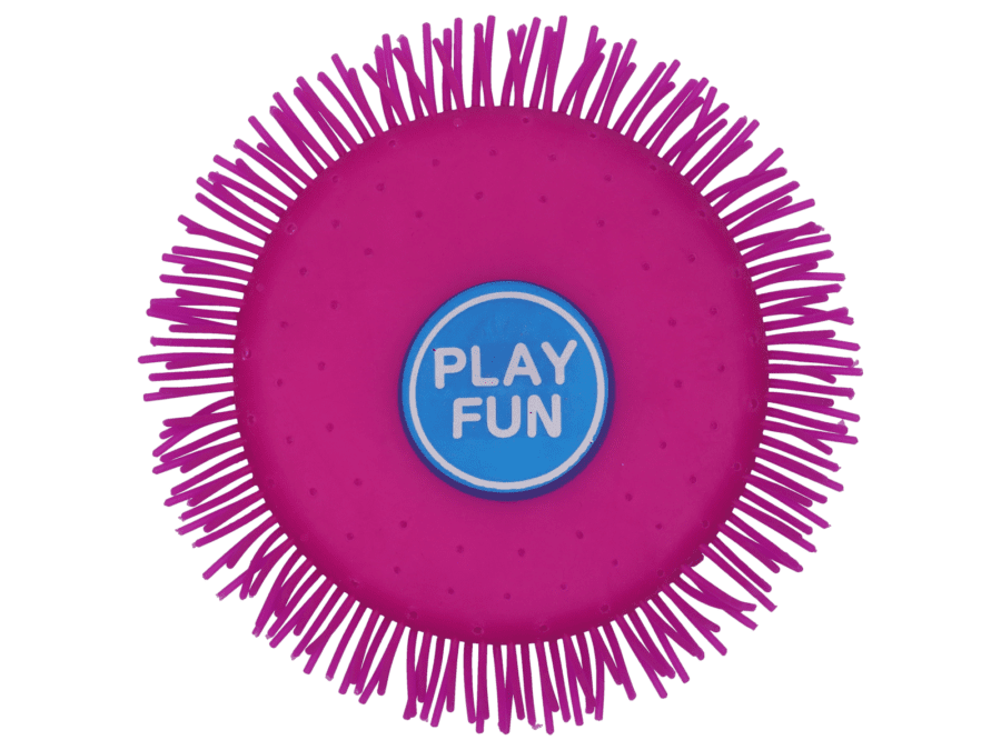 Frisbee à eau - Wibra