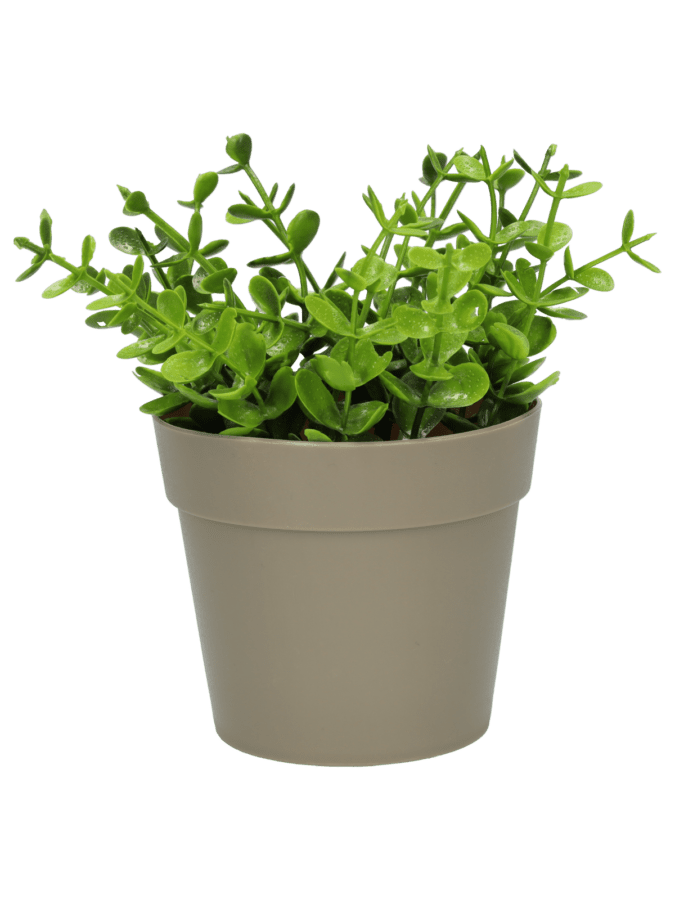 Plante artificielle - 14 cm - Wibra