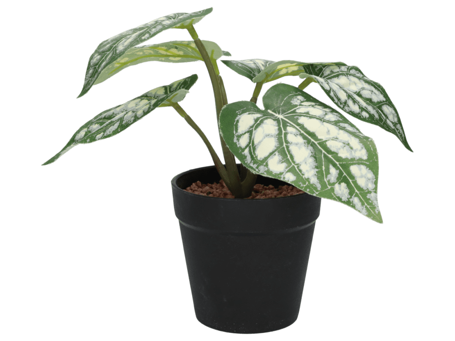 Plante artificielle – 20 cm – green2 - Wibra