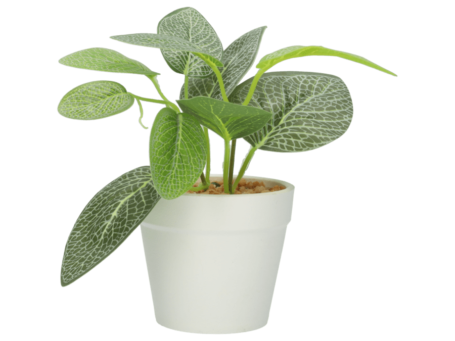 Plante artificielle – 15cm – option 1 - Wibra