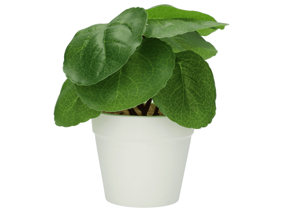 Plante artificielle – 15cm – option 2 - Wibra