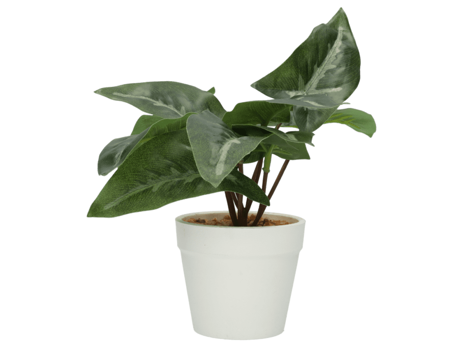 Plante artificielle – 15cm – option 3 - Wibra