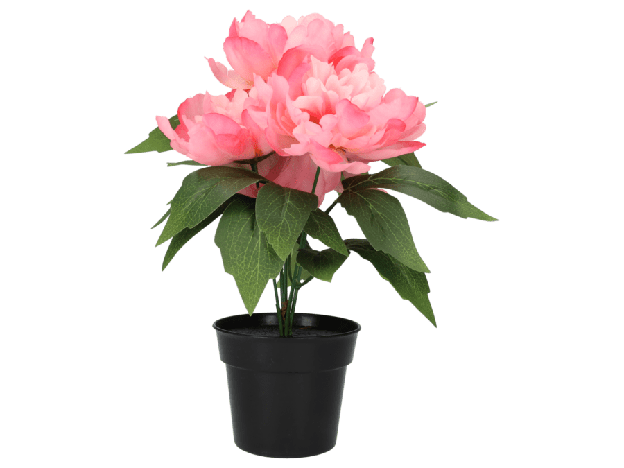 Plante artificielle – 29cm – rose - Wibra