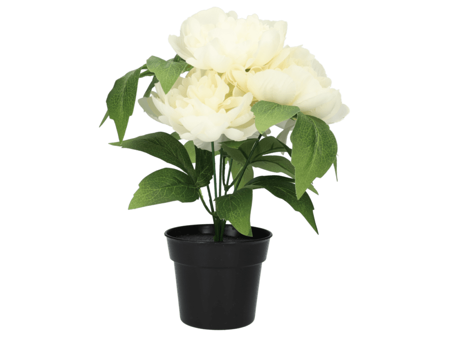 Plante artificielle – 29cm – beige - Wibra