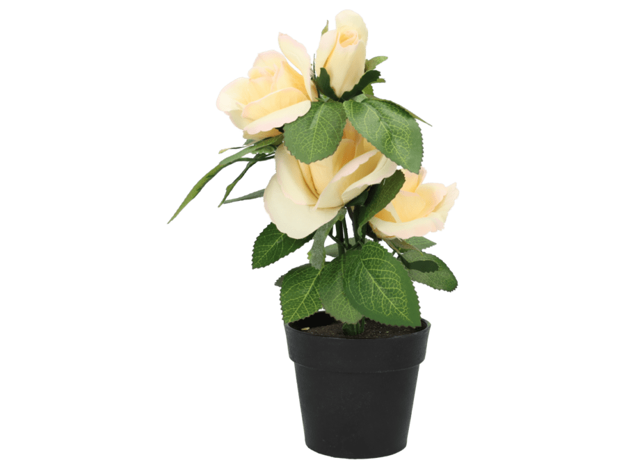 Plante artificielle – 31cm – beige - Wibra